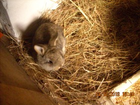 DSCN0531.JPG