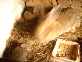 DSCN0533.JPG