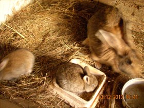 DSCN0535.JPG