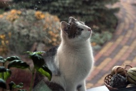 IMG_1310.JPG