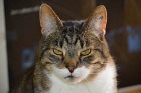 DSC_1275.JPG