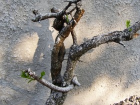 P9060021.JPG