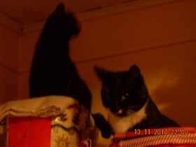 DSCN1990.JPG