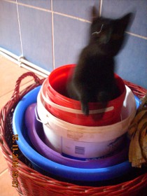 DSCN1996.JPG