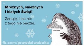 zima.jpg
