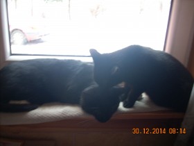 DSCN2054.JPG