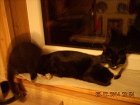 DSCN2038.JPG