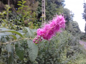 2013-08-21 16.29.27.jpg