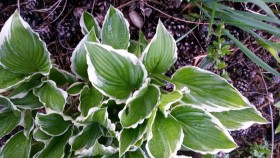 20150502_191316.jpg