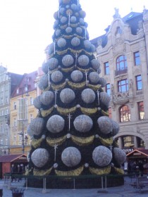 choinka w Rynku 2012.JPG
