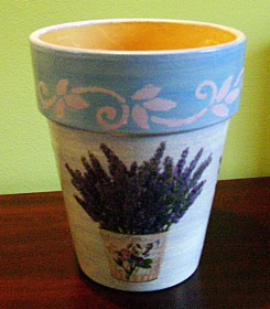 P4270008.JPG